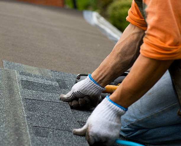 Best Metal Roofing Contractor  in Barry, IL